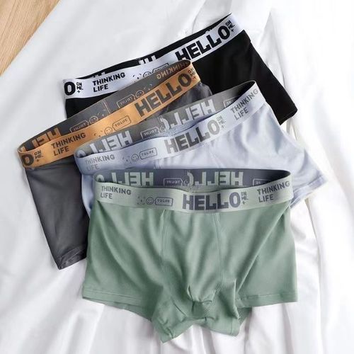 Boxers Men's Underwear Graphene Male Ice Silk Underpants For Men