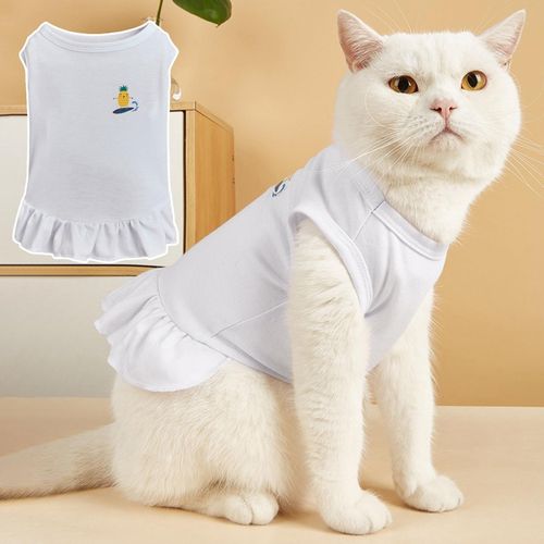 Cat shop clothes online