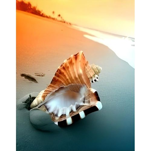 product_image_name-Generic-Decorated,Flora,Wall Canvas(None) Printed Wall Art- Decorated,Flora,Wall Arts,wall hanging-1