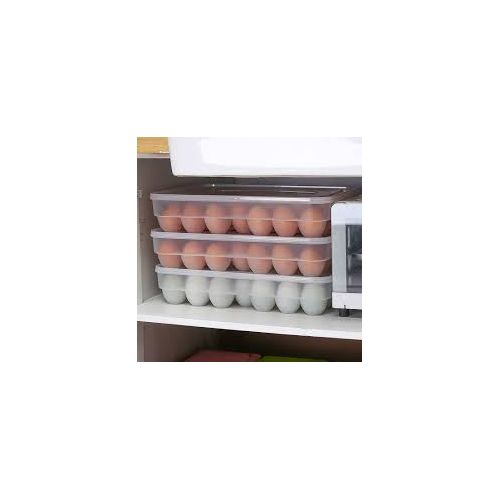 product_image_name-Generic-34 Pieces Eggs Tray Holder-1