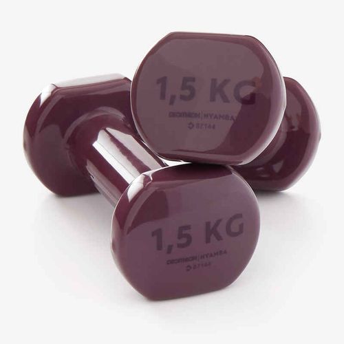 Domyos Fitness 1.5 Kg Dumbbells Twin Pack Burgundy Best Price Online Jumia Kenya