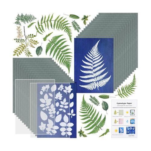 Cyanotype Paper - 32 Sheets Cyanotype Papers With 1 Sheet Acrylic Panel -  High Sensitivity Nature Printing Paper Cyanotype Paper For Diy Arts Crafts  P