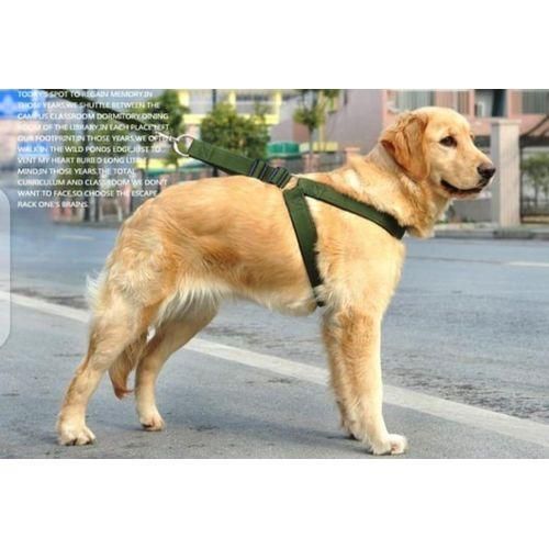 product_image_name-Generic-Dog leash / harness with collar-1
