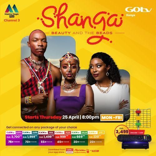 product_image_name-Gotv-Decoder + Grid Antenna -5