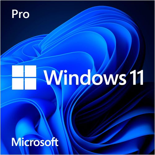 product_image_name-Microsoft-WINDOWS 11 OPERATING SYSTEM (USB)-1