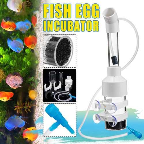 Generic Aquarium Fish Eggs Incubator Tumbler Fish Hatchery Cichlid