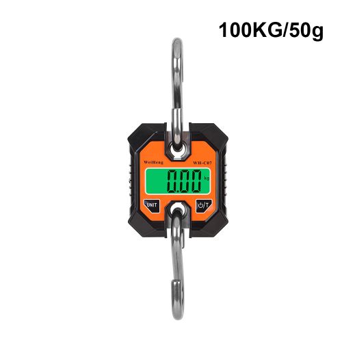 Generic 100/200Kg Electronic Hanging Scale LCD Display Digital Scale Fishing  Weights Po @ Best Price Online