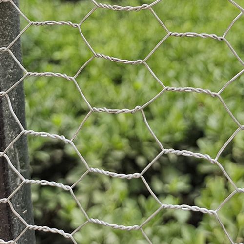 Generic Multifunctional Chicken Wire Net Durable Animal Fence Netting  Galvanized Hexagonal Wire