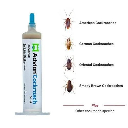 Syngenta Advion Cockroach Gel Bait tube (1 X 30 gm tube) @ Best Price  Online