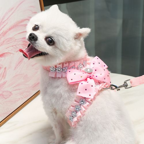 Harness leash for small dogs sale