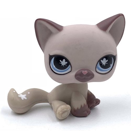 Lps cats 2025