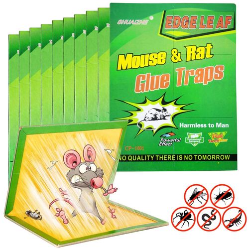 product_image_name-Generic-Multipurpose Non-Toxic Mouse Rat Trap Sticky Glue Board Harmless to Man-2