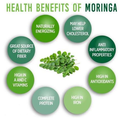 product_image_name-Generic-Moringa Powder - High Energy Levels, 99+ Rich Nutrients -2