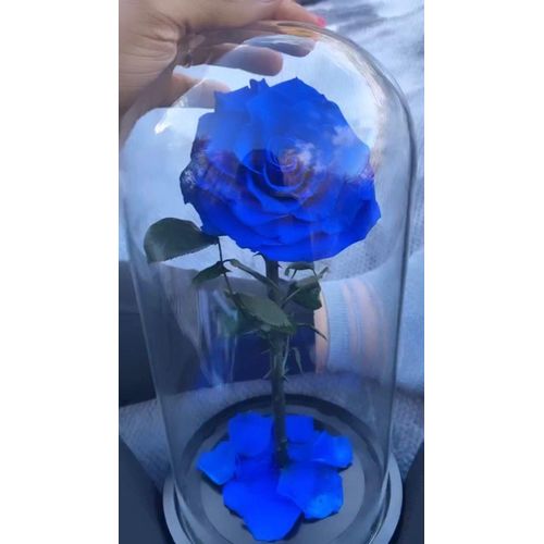 product_image_name-Generic-FLOWER IN A DOME -1