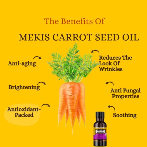 Carrot Root Oil Benefits Compared to Carrot Seed