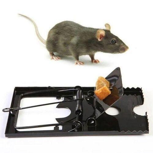 product_image_name-Generic-Rat Trap For Home Powerful Mice Mouse Rodent Killer For Home-1
