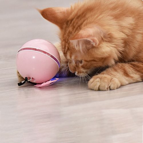 Interactive Cat Toys Ball Rechargeable Smart Automatic Dog Toys