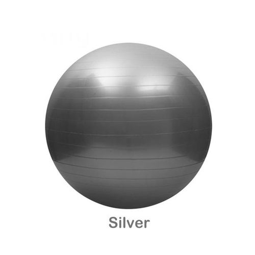 Generic 45cm 55cm 65cm 75cm Thick PVC Ball Explosion proof 150Kg Bearing Capacity Yoga Ball Pilates Fitness Ball Gym Massage Ball Exercise Balance Ability Fitness Ball With Air Pump Pink Blue Silver P...