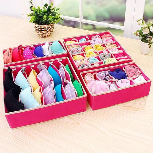 Generic 4 In 1 Under Garment/ Bra & Panty Organizer @ Best Price Online