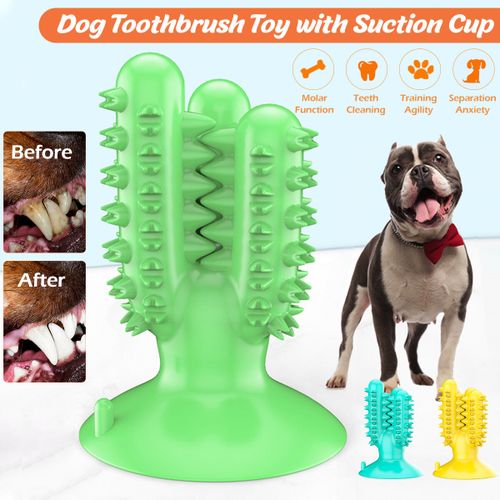 4 in 1 Dog Pet Multi Functional Chew Training Molar Toothbrush