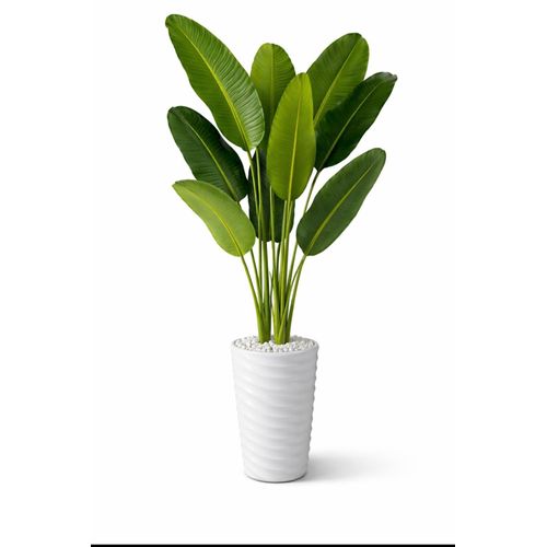 product_image_name-Generic-4 stem artificial Banana plant in white vase-1