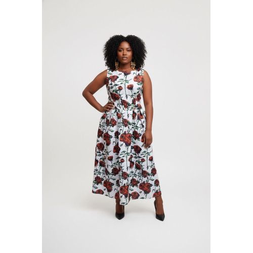 Fashion Women's Multicolored Cotton Skater Dress
