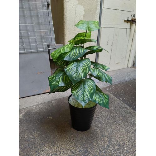 product_image_name-Generic-Artificial Stripped Flower With Spiral Black Bucket Vase-4