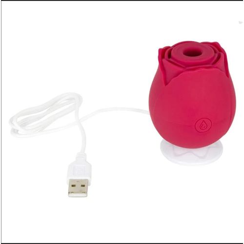 Fashion Collections Rose-Shaped USB Rechargeable Clitoral Stimulator   Waterproof Silent Personal Massager for Women @ Best Price Online | Jumia  Kenya