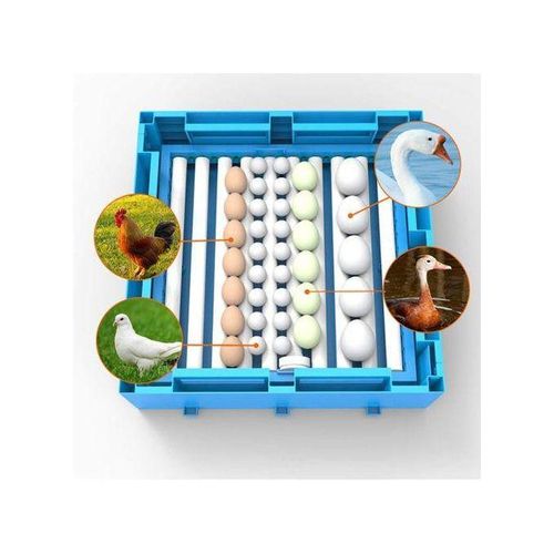 product_image_name-Generic-64-EGGS SOLAR AND ELECTRIC (AC/DC) FULL AUTOMATIC INCUBATOR-3