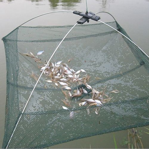 Generic Foldable Catch Fish Cage Net Fishing Bait Cast Net Fish