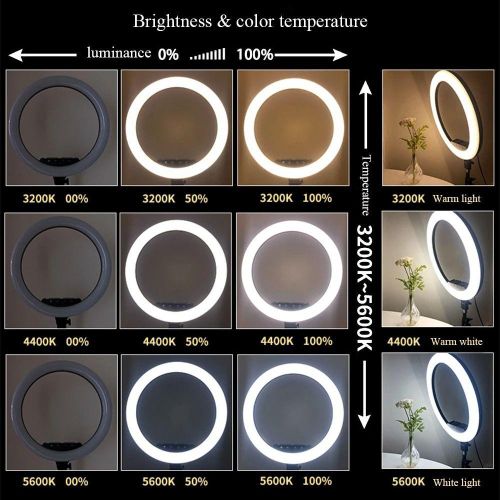 product_image_name-Generic-Professional 18-Inch LJJ-45 LED Ring Light for Makeup & Vide-3