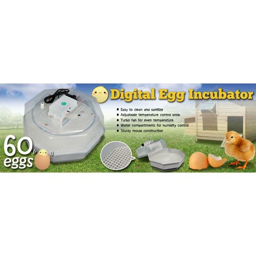 Generic 60 Eggs Incubator digital Chicken Bird Equipment ...