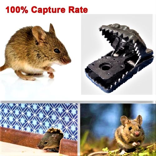 Mouse Trap Rats Cage for Household Mice Catcher Automatic Rat