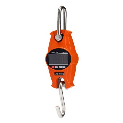 product_image_name-Generic-Stainless Digital Hanging Crane Scale 300 Kg-1