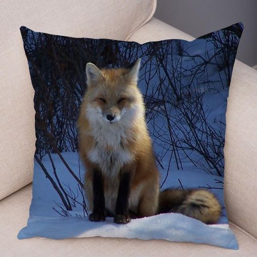 Fox racing pillow cases online