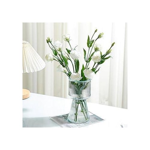product_image_name-Generic-Round-Based Glass Flower Vase 17cm-offer!!!!-1