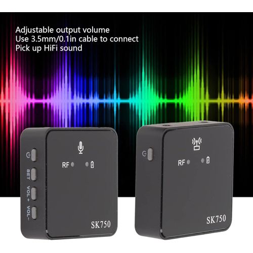 product_image_name-Generic-SK750 Portable Wireless Microphone System for Musicians-1