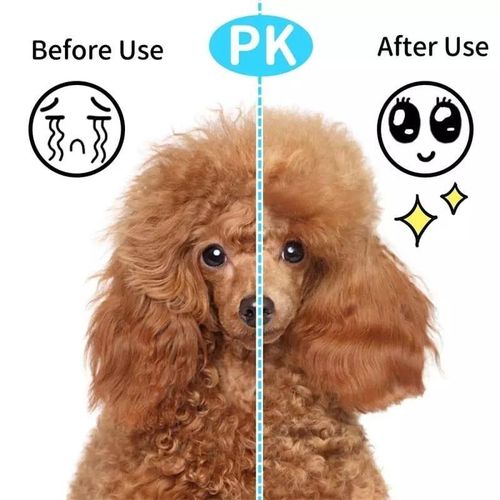 product_image_name-Generic-Cat Brush, Dog Brush, Self-Cleaning Slicker Brush, Pet-5