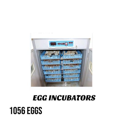 product_image_name-Generic-egg incubator-4