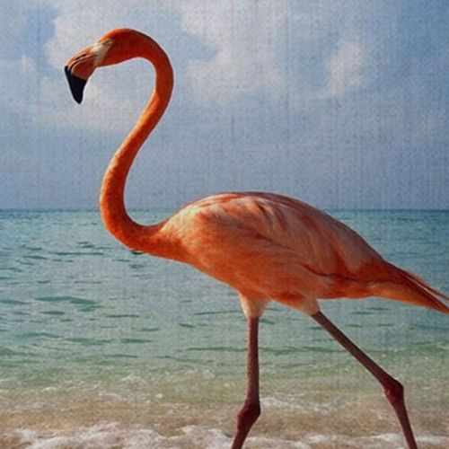 Generic Flamingo Pillow Case Reversible Sequin Glitter Throw