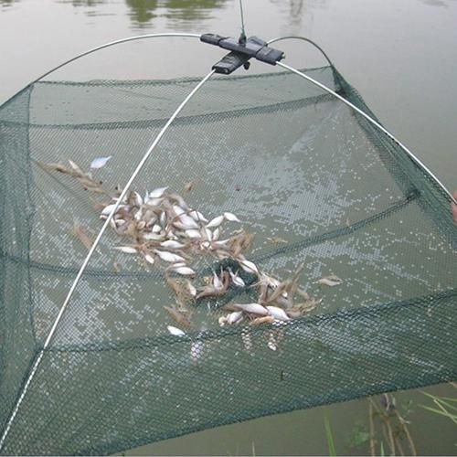 Generic Folded Fishing Net Little Fish Shrimp Minnow Crab Baits Cast Mesh  Dip Lift Net Lifting Catching @ Best Price Online