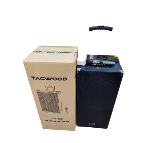 product_image_name-TAGWOOD-12B Double Built in Speaker Portable Trolley Speaker -1