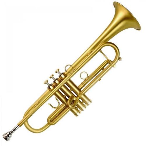 Trumpet jumia deals