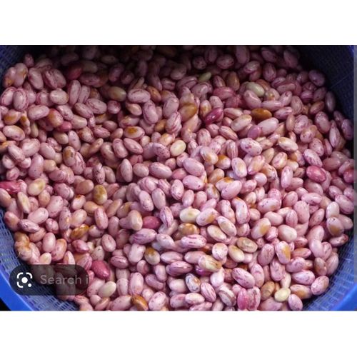 Beans 3 kg cheap online