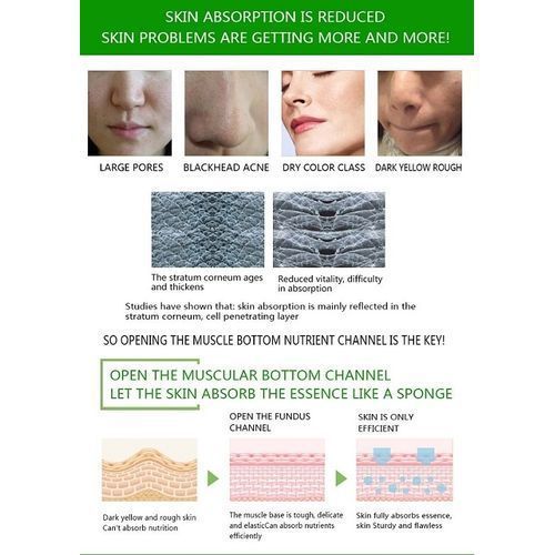 product_image_name-Dr. Rashel-Aloe Vera Collagen+Vitamin E Face Serum,50ml-3