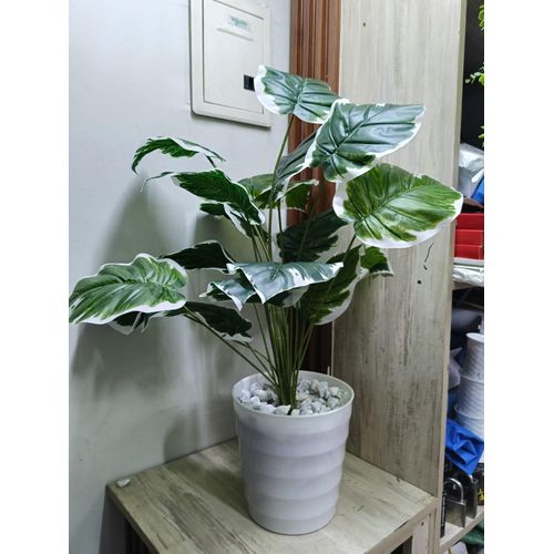 product_image_name-Generic-Artificial Flower , Decor Stones Plus A Vase- White patches -4