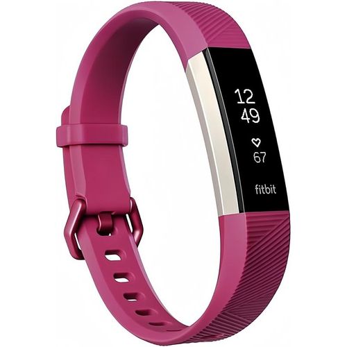 Generic fitbit 2025