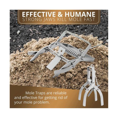 Best Mole Trap to Buy - Compare Top 3 