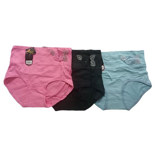 Fashion 4PCS NET SEAMLESS COTTON UNDERWEAR, LADIES PANTS @ Best