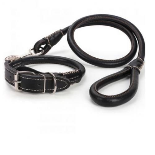 product_image_name-Generic-Leather Easy Grip 2-in-1 Rolled  Pet/Dog Collar & Leash-2